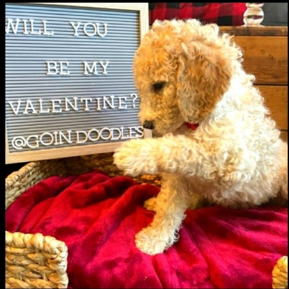 ⚜️ Vintage VANITY SET BOXED SET CLOISONNÉ MIRROR  EVC - Picture 2 of 16